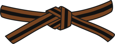 Brown Stripe Belt